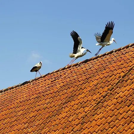 펜션 Mazury/jezioro Dobskie *