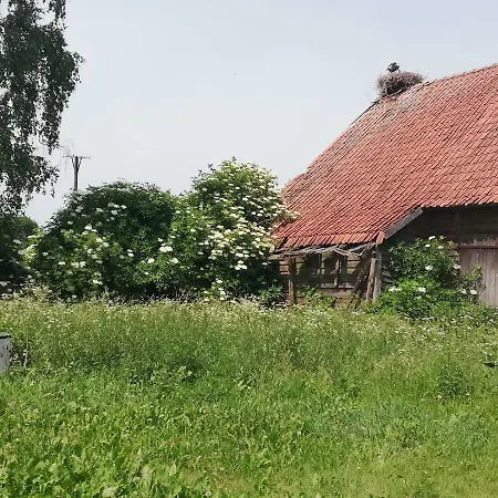 Mazury/jezioro Dobskie 펜션 *